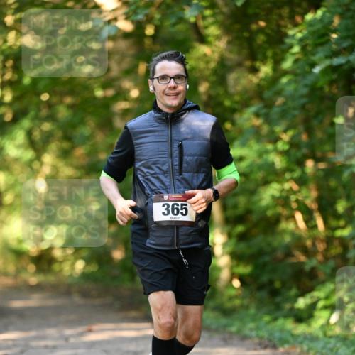 06.10.2024 - Bramfelder Halbmarathon 2024 Dr. Thomas Lammeyer http://msf.ph/oto/7334796 06.10.2024 09:52:26 Laufen 365 meine-sportfotos.de