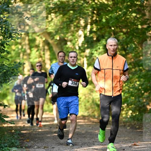 06.10.2024 - Bramfelder Halbmarathon 2024 Dr. Thomas Lammeyer http://msf.ph/oto/7334798 06.10.2024 09:52:29 Laufen 356 meine-sportfotos.de