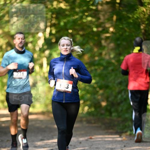 06.10.2024 - Bramfelder Halbmarathon 2024 Dr. Thomas Lammeyer http://msf.ph/oto/7334857 06.10.2024 09:52:40 Laufen 231, 193 meine-sportfotos.de