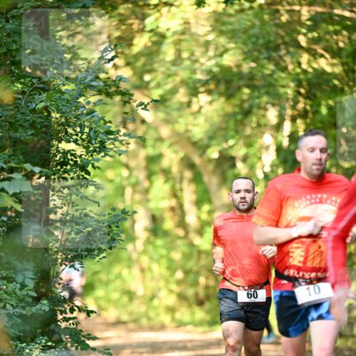 06.10.2024 - Bramfelder Halbmarathon 2024 Dr. Thomas Lammeyer http://msf.ph/oto/7334876 06.10.2024 09:52:57 Laufen 60, 10 meine-sportfotos.de