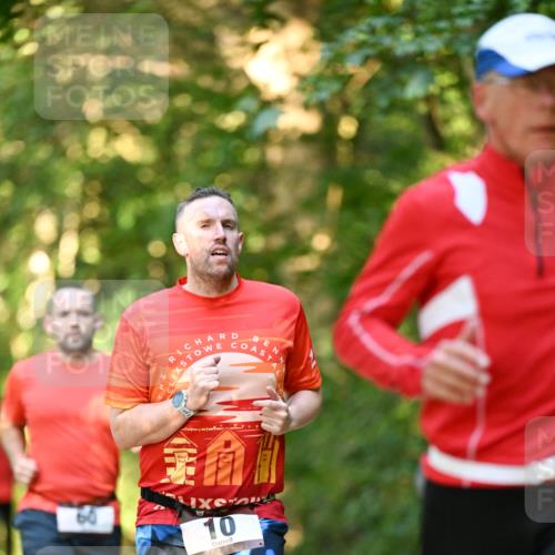 06.10.2024 - Bramfelder Halbmarathon 2024 Dr. Thomas Lammeyer http://msf.ph/oto/7334882 06.10.2024 09:52:59 Laufen 10 meine-sportfotos.de
