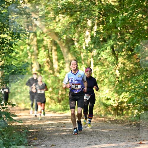 06.10.2024 - Bramfelder Halbmarathon 2024 Dr. Thomas Lammeyer http://msf.ph/oto/7334897 06.10.2024 09:53:10 Laufen 36, 368 meine-sportfotos.de
