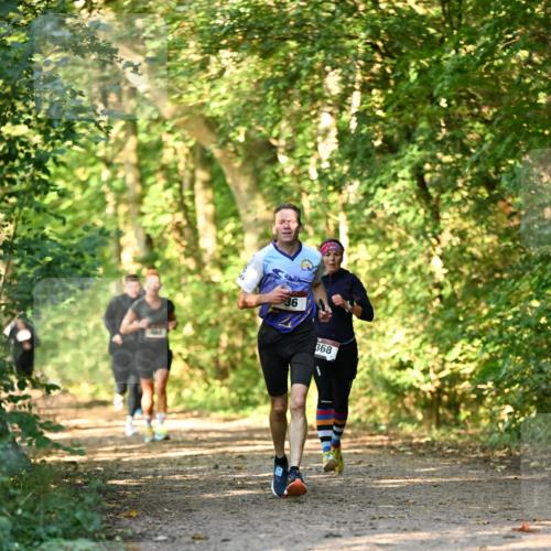 06.10.2024 - Bramfelder Halbmarathon 2024 Dr. Thomas Lammeyer http://msf.ph/oto/7334898 06.10.2024 09:53:10 Laufen 36, 368 meine-sportfotos.de