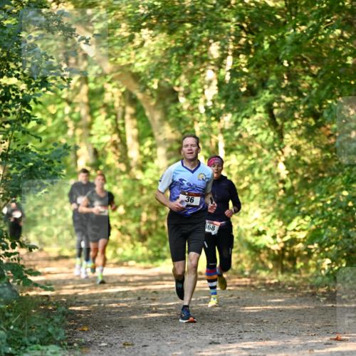 06.10.2024 - Bramfelder Halbmarathon 2024 Dr. Thomas Lammeyer http://msf.ph/oto/7334899 06.10.2024 09:53:10 Laufen 36, 868 meine-sportfotos.de