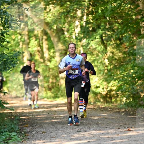 06.10.2024 - Bramfelder Halbmarathon 2024 Dr. Thomas Lammeyer http://msf.ph/oto/7334903 06.10.2024 09:53:10 Laufen 36 meine-sportfotos.de
