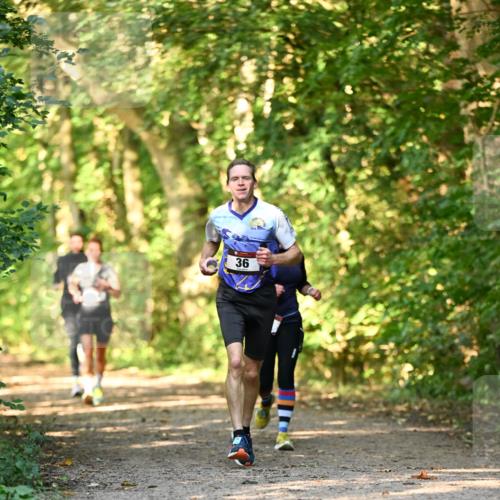 06.10.2024 - Bramfelder Halbmarathon 2024 Dr. Thomas Lammeyer http://msf.ph/oto/7334906 06.10.2024 09:53:11 Laufen 36 meine-sportfotos.de