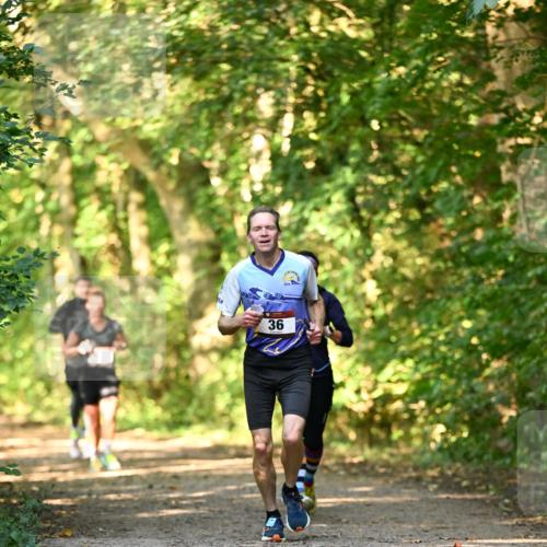 06.10.2024 - Bramfelder Halbmarathon 2024 Dr. Thomas Lammeyer http://msf.ph/oto/7334908 06.10.2024 09:53:11 Laufen 36 meine-sportfotos.de