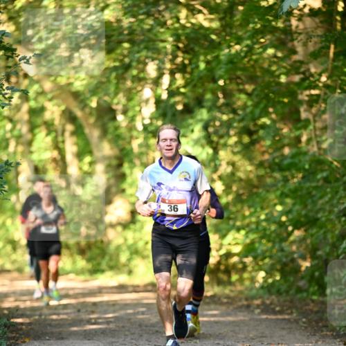 06.10.2024 - Bramfelder Halbmarathon 2024 Dr. Thomas Lammeyer http://msf.ph/oto/7334913 06.10.2024 09:53:12 Laufen 36 meine-sportfotos.de