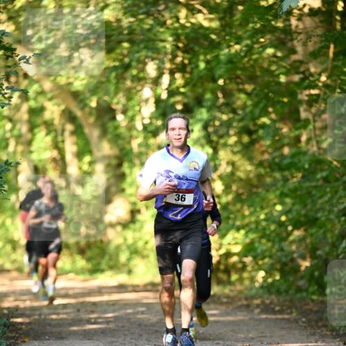 06.10.2024 - Bramfelder Halbmarathon 2024 Dr. Thomas Lammeyer http://msf.ph/oto/7334914 06.10.2024 09:53:12 Laufen 36 meine-sportfotos.de