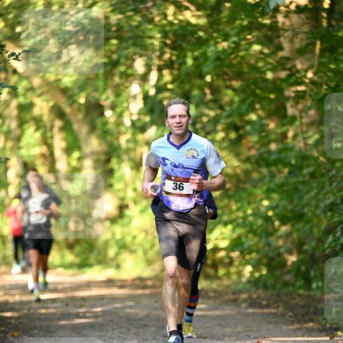 06.10.2024 - Bramfelder Halbmarathon 2024 Dr. Thomas Lammeyer http://msf.ph/oto/7334917 06.10.2024 09:53:12 Laufen 36 meine-sportfotos.de