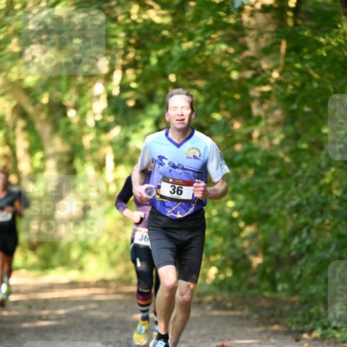 06.10.2024 - Bramfelder Halbmarathon 2024 Dr. Thomas Lammeyer http://msf.ph/oto/7334919 06.10.2024 09:53:13 Laufen 36, 36 meine-sportfotos.de