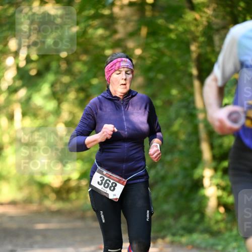 06.10.2024 - Bramfelder Halbmarathon 2024 Dr. Thomas Lammeyer http://msf.ph/oto/7334936 06.10.2024 09:53:16 Laufen 368, 96 meine-sportfotos.de
