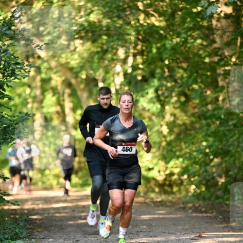 06.10.2024 - Bramfelder Halbmarathon 2024 Dr. Thomas Lammeyer http://msf.ph/oto/7334941 06.10.2024 09:53:18 Laufen 460 meine-sportfotos.de