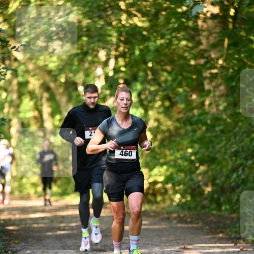 06.10.2024 - Bramfelder Halbmarathon 2024 Dr. Thomas Lammeyer http://msf.ph/oto/7334944 06.10.2024 09:53:19 Laufen 2, 460 meine-sportfotos.de