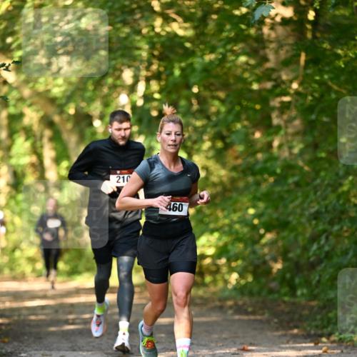 06.10.2024 - Bramfelder Halbmarathon 2024 Dr. Thomas Lammeyer http://msf.ph/oto/7334945 06.10.2024 09:53:19 Laufen 210, 460 meine-sportfotos.de