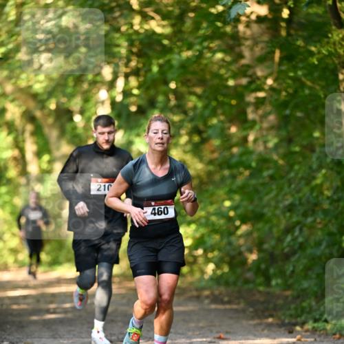 06.10.2024 - Bramfelder Halbmarathon 2024 Dr. Thomas Lammeyer http://msf.ph/oto/7334946 06.10.2024 09:53:19 Laufen 210, 460 meine-sportfotos.de