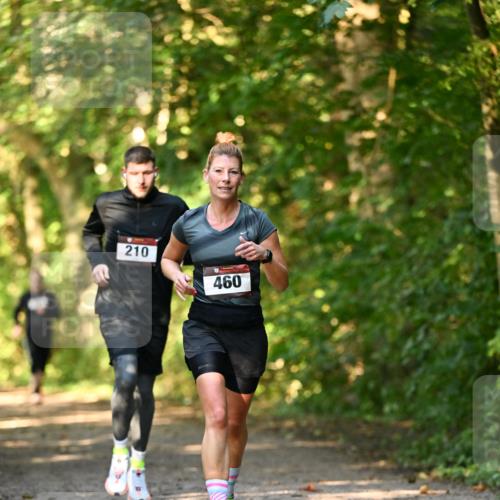 06.10.2024 - Bramfelder Halbmarathon 2024 Dr. Thomas Lammeyer http://msf.ph/oto/7334947 06.10.2024 09:53:19 Laufen 210, 460 meine-sportfotos.de