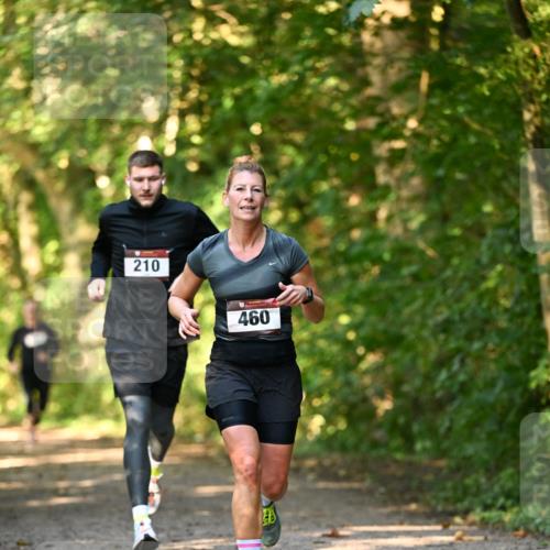 06.10.2024 - Bramfelder Halbmarathon 2024 Dr. Thomas Lammeyer http://msf.ph/oto/7334948 06.10.2024 09:53:19 Laufen 210, 460 meine-sportfotos.de