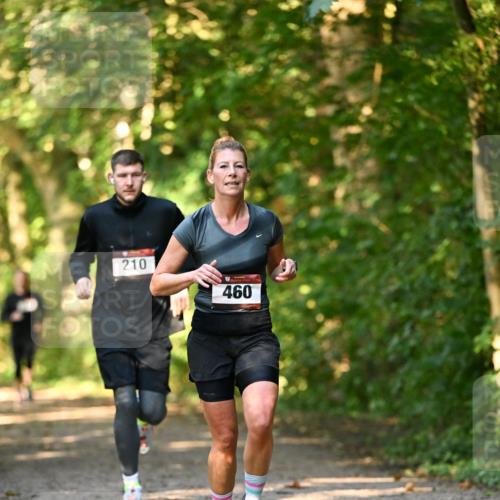 06.10.2024 - Bramfelder Halbmarathon 2024 Dr. Thomas Lammeyer http://msf.ph/oto/7334949 06.10.2024 09:53:19 Laufen 210, 460 meine-sportfotos.de