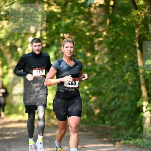 06.10.2024 - Bramfelder Halbmarathon 2024 Dr. Thomas Lammeyer http://msf.ph/oto/7334950 06.10.2024 09:53:19 Laufen 210, 460 meine-sportfotos.de