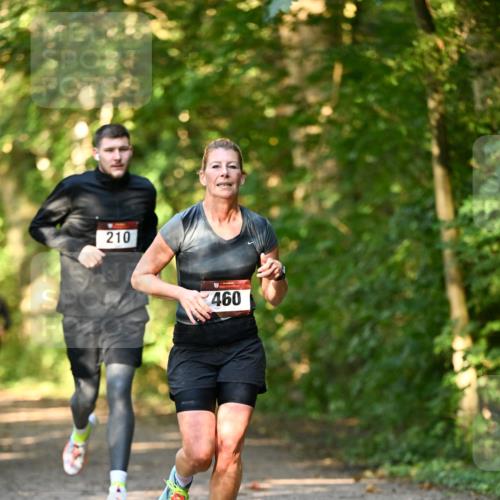 06.10.2024 - Bramfelder Halbmarathon 2024 Dr. Thomas Lammeyer http://msf.ph/oto/7334951 06.10.2024 09:53:19 Laufen 210, 460 meine-sportfotos.de