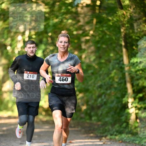 06.10.2024 - Bramfelder Halbmarathon 2024 Dr. Thomas Lammeyer http://msf.ph/oto/7334952 06.10.2024 09:53:20 Laufen 210, 460 meine-sportfotos.de
