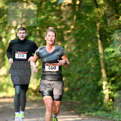 06.10.2024 - Bramfelder Halbmarathon 2024 Dr. Thomas Lammeyer http://msf.ph/oto/7334953 06.10.2024 09:53:20 Laufen 210, 460 meine-sportfotos.de