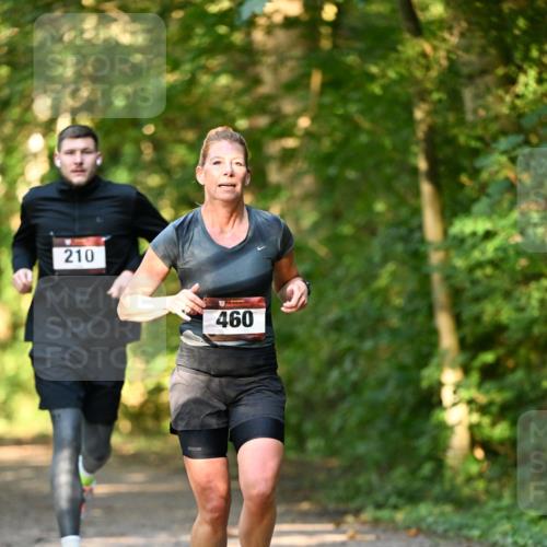 06.10.2024 - Bramfelder Halbmarathon 2024 Dr. Thomas Lammeyer http://msf.ph/oto/7334954 06.10.2024 09:53:20 Laufen 210, 460 meine-sportfotos.de