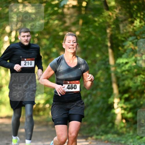06.10.2024 - Bramfelder Halbmarathon 2024 Dr. Thomas Lammeyer http://msf.ph/oto/7334956 06.10.2024 09:53:20 Laufen 210, 460 meine-sportfotos.de