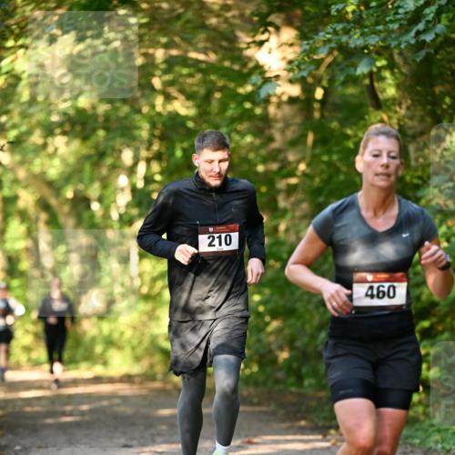 06.10.2024 - Bramfelder Halbmarathon 2024 Dr. Thomas Lammeyer http://msf.ph/oto/7334957 06.10.2024 09:53:21 Laufen 210, 460 meine-sportfotos.de