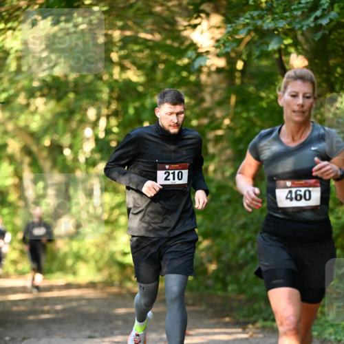 06.10.2024 - Bramfelder Halbmarathon 2024 Dr. Thomas Lammeyer http://msf.ph/oto/7334958 06.10.2024 09:53:21 Laufen 210, 460 meine-sportfotos.de