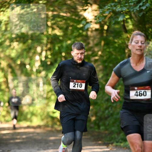 06.10.2024 - Bramfelder Halbmarathon 2024 Dr. Thomas Lammeyer http://msf.ph/oto/7334959 06.10.2024 09:53:21 Laufen 210, 460 meine-sportfotos.de