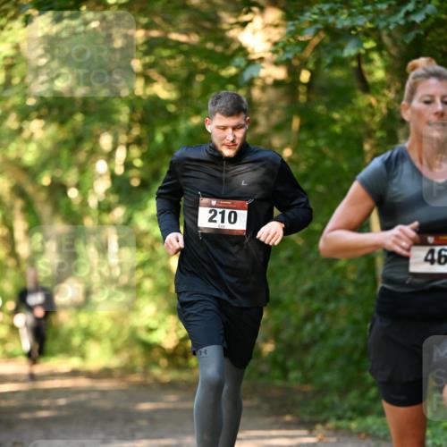 06.10.2024 - Bramfelder Halbmarathon 2024 Dr. Thomas Lammeyer http://msf.ph/oto/7334960 06.10.2024 09:53:21 Laufen 210, 46 meine-sportfotos.de