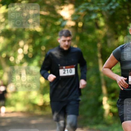 06.10.2024 - Bramfelder Halbmarathon 2024 Dr. Thomas Lammeyer http://msf.ph/oto/7334962 06.10.2024 09:53:22 Laufen 210 meine-sportfotos.de