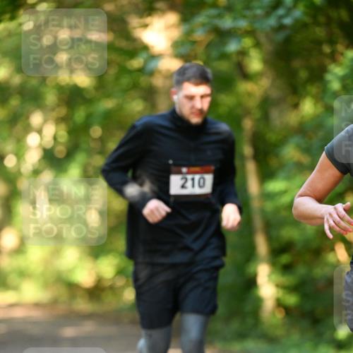 06.10.2024 - Bramfelder Halbmarathon 2024 Dr. Thomas Lammeyer http://msf.ph/oto/7334964 06.10.2024 09:53:22 Laufen 210 meine-sportfotos.de
