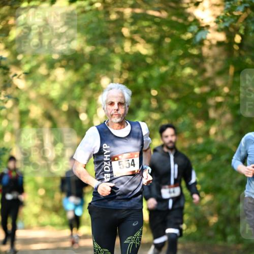 06.10.2024 - Bramfelder Halbmarathon 2024 Dr. Thomas Lammeyer http://msf.ph/oto/7334994 06.10.2024 09:53:33 Laufen 554 meine-sportfotos.de