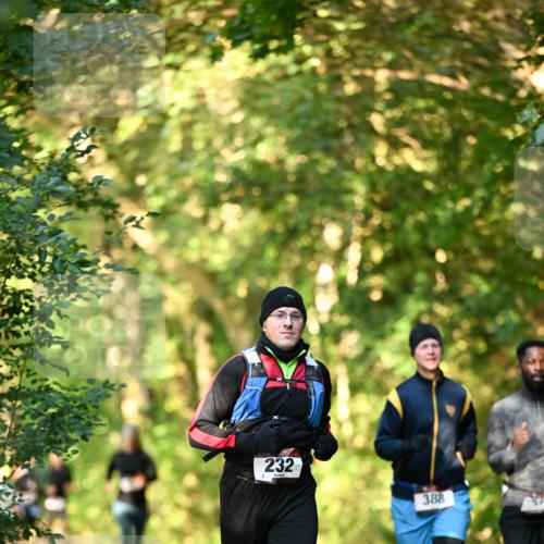 06.10.2024 - Bramfelder Halbmarathon 2024 Dr. Thomas Lammeyer http://msf.ph/oto/7335008 06.10.2024 09:53:38 Laufen 232, 388 meine-sportfotos.de