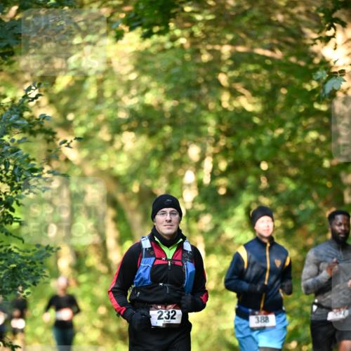 06.10.2024 - Bramfelder Halbmarathon 2024 Dr. Thomas Lammeyer http://msf.ph/oto/7335009 06.10.2024 09:53:38 Laufen 232, 388 meine-sportfotos.de