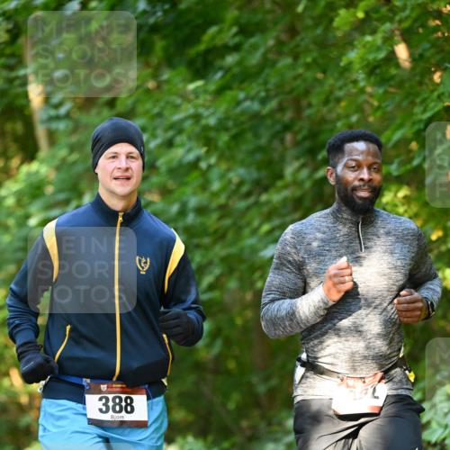 06.10.2024 - Bramfelder Halbmarathon 2024 Dr. Thomas Lammeyer http://msf.ph/oto/7335030 06.10.2024 09:53:43 Laufen 388 meine-sportfotos.de