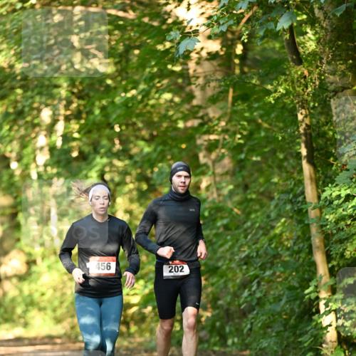 06.10.2024 - Bramfelder Halbmarathon 2024 Dr. Thomas Lammeyer http://msf.ph/oto/7335031 06.10.2024 09:53:47 Laufen 456, 202 meine-sportfotos.de
