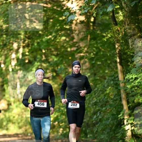 06.10.2024 - Bramfelder Halbmarathon 2024 Dr. Thomas Lammeyer http://msf.ph/oto/7335034 06.10.2024 09:53:47 Laufen 202, 456 meine-sportfotos.de