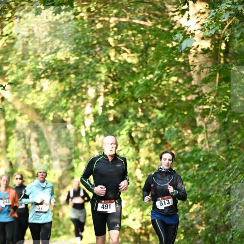 06.10.2024 - Bramfelder Halbmarathon 2024 Dr. Thomas Lammeyer http://msf.ph/oto/7335056 06.10.2024 09:53:52 Laufen 248, 37, 491, 513 meine-sportfotos.de
