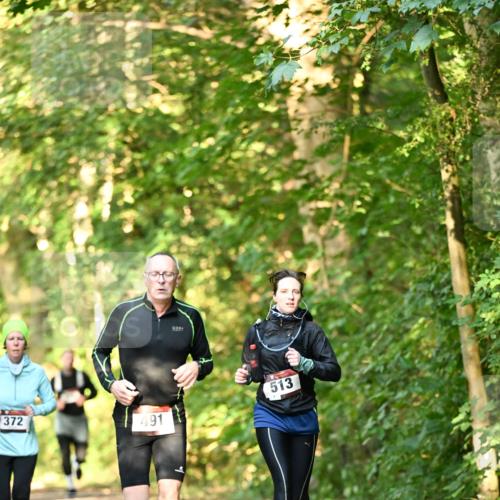 06.10.2024 - Bramfelder Halbmarathon 2024 Dr. Thomas Lammeyer http://msf.ph/oto/7335062 06.10.2024 09:53:53 Laufen 372, 491, 513 meine-sportfotos.de