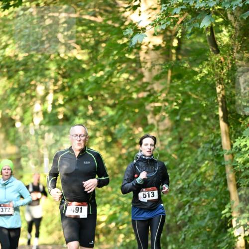 06.10.2024 - Bramfelder Halbmarathon 2024 Dr. Thomas Lammeyer http://msf.ph/oto/7335064 06.10.2024 09:53:54 Laufen 372, 491, 513 meine-sportfotos.de