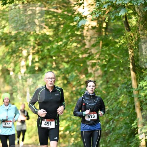 06.10.2024 - Bramfelder Halbmarathon 2024 Dr. Thomas Lammeyer http://msf.ph/oto/7335065 06.10.2024 09:53:54 Laufen 372, 491, 513 meine-sportfotos.de