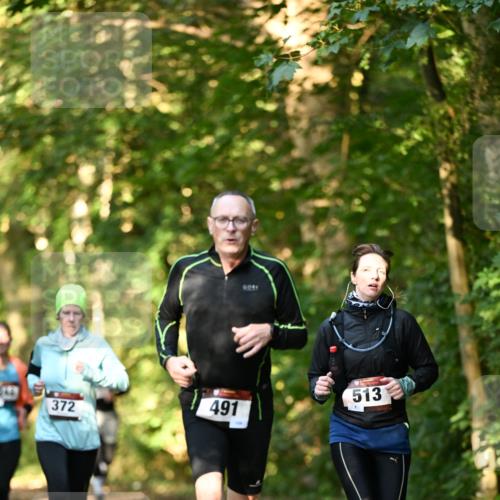 06.10.2024 - Bramfelder Halbmarathon 2024 Dr. Thomas Lammeyer http://msf.ph/oto/7335070 06.10.2024 09:53:55 Laufen 491, 372, 513 meine-sportfotos.de