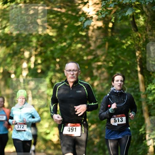 06.10.2024 - Bramfelder Halbmarathon 2024 Dr. Thomas Lammeyer http://msf.ph/oto/7335071 06.10.2024 09:53:55 Laufen 372, 491, 513 meine-sportfotos.de