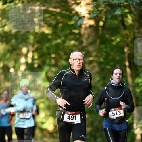 06.10.2024 - Bramfelder Halbmarathon 2024 Dr. Thomas Lammeyer http://msf.ph/oto/7335073 06.10.2024 09:53:55 Laufen 491, 109, 513 meine-sportfotos.de