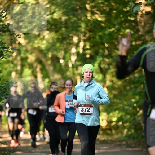 06.10.2024 - Bramfelder Halbmarathon 2024 Dr. Thomas Lammeyer http://msf.ph/oto/7335075 06.10.2024 09:53:56 Laufen 24, 372 meine-sportfotos.de