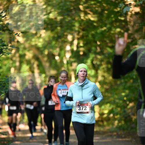 06.10.2024 - Bramfelder Halbmarathon 2024 Dr. Thomas Lammeyer http://msf.ph/oto/7335076 06.10.2024 09:53:56 Laufen 248, 372 meine-sportfotos.de